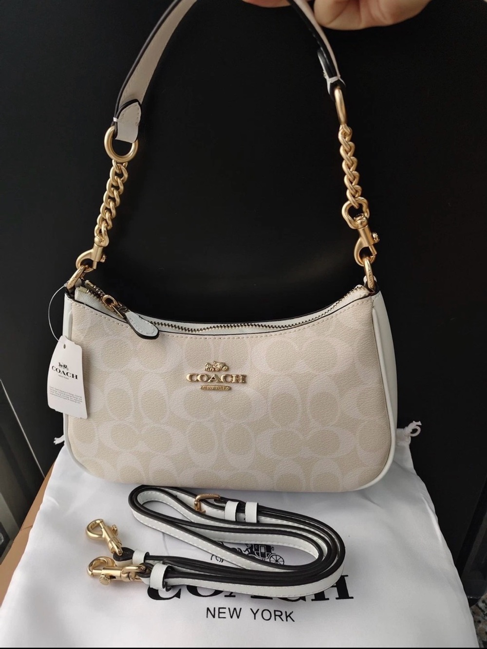 Coach Teri Signature Canvas Shoulder Bag in Glacier White